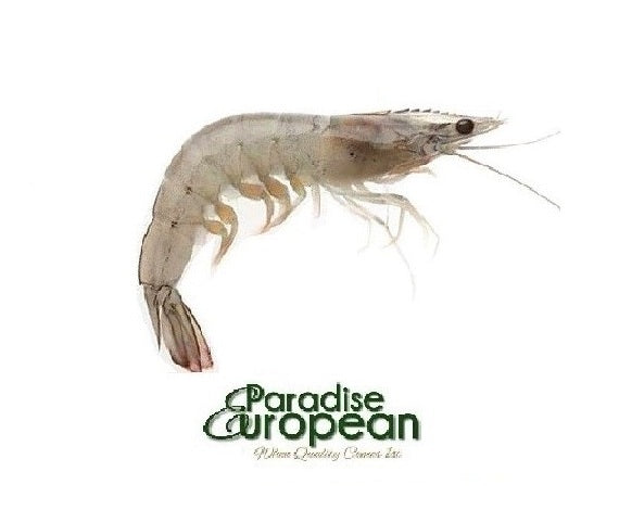 Frozen Thai Whole Shrimp 16-20