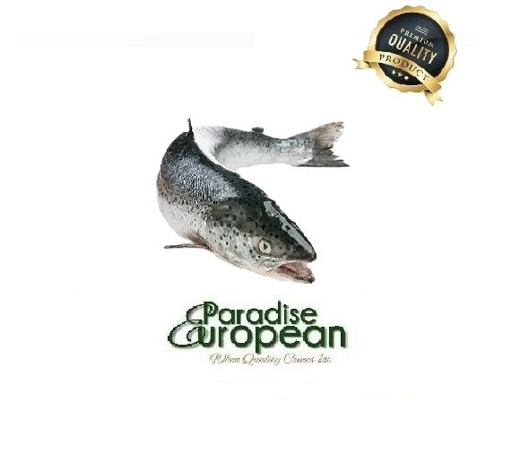 Frozen Norwegian Whole Salmon