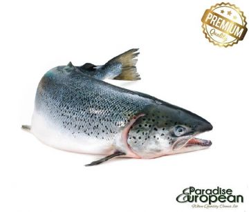 Norwegian Whole Salmon ~ (4kg :4.5kg)