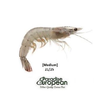 Thai Whole Shrimp 21-25 (Medium)