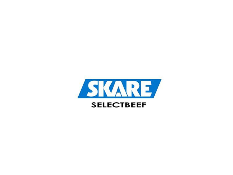 Skare (Denmark)